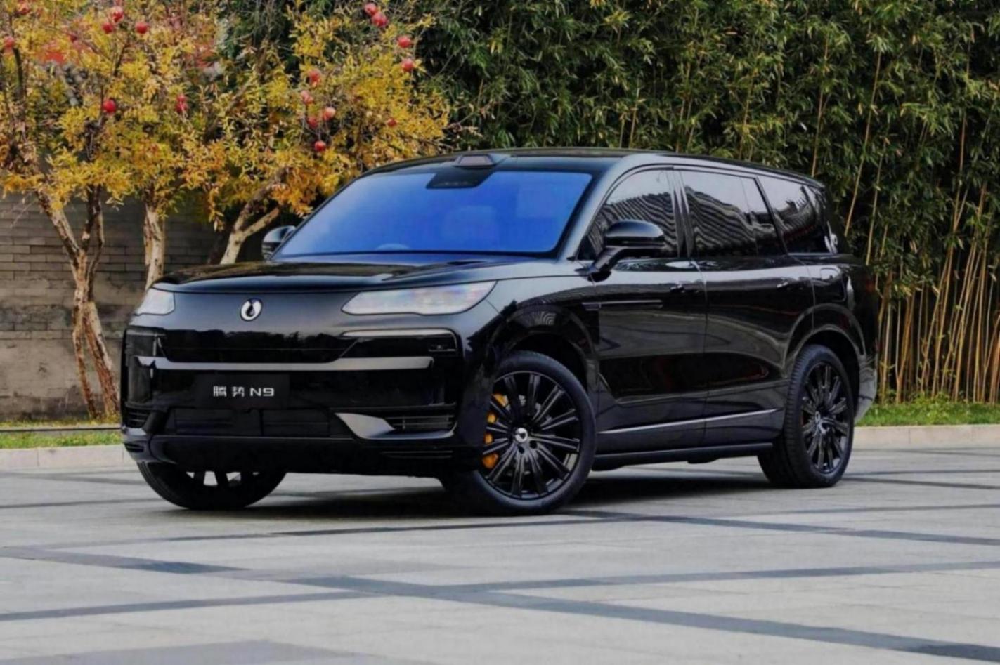 從領(lǐng)跑到掉隊,理想汽車迎來2025新困局